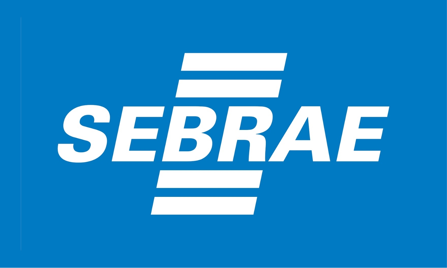 Sebrae segments correctly and increases reach